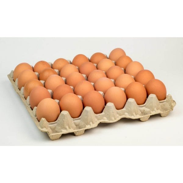 Fresh Eggs Box 12x30