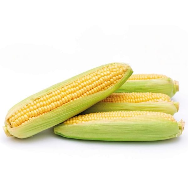 Frozen Corn On The Cob 24x2