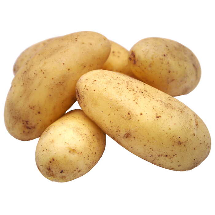 Z - Fresh Baker Potatoes Sack - Adams Food Service